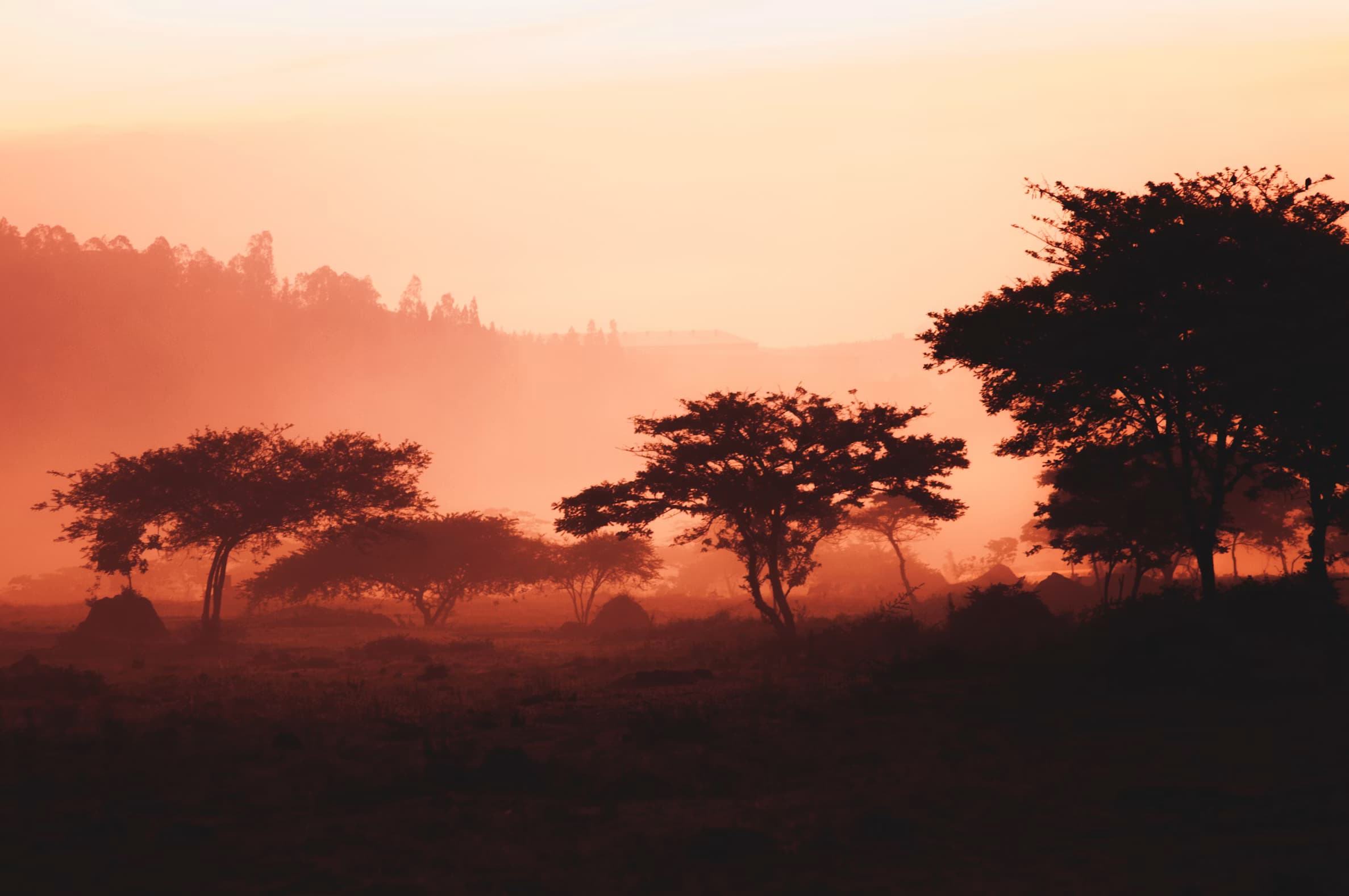 Rwanda — 3